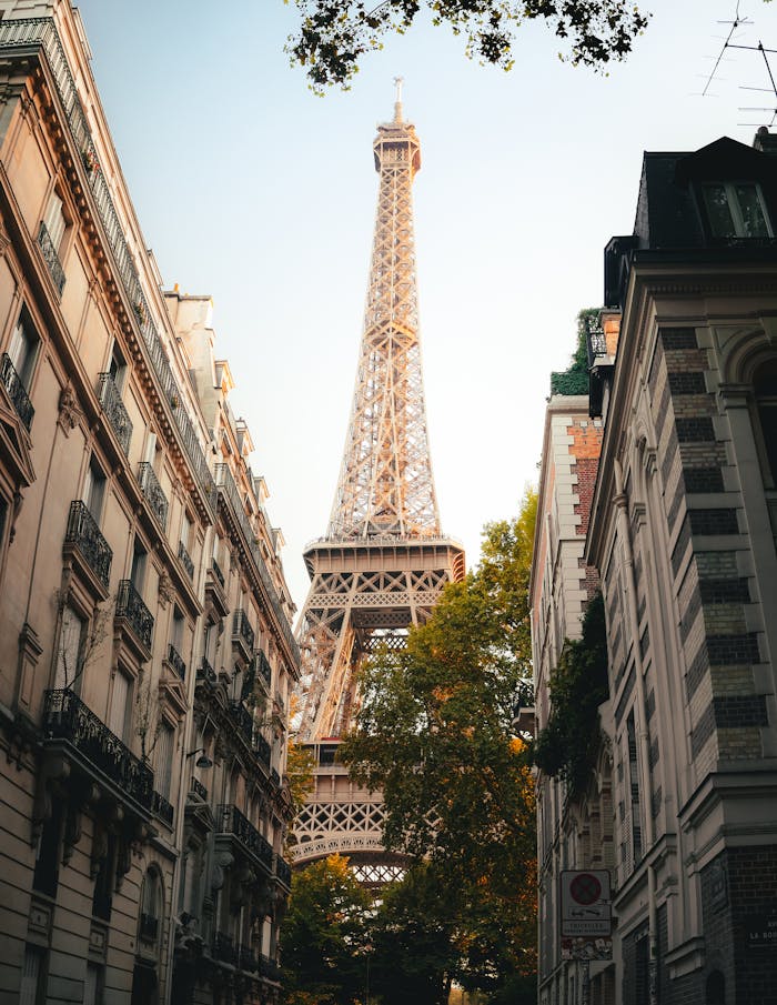 services-02 Iconic Eiffel Tower surrounded by classic Parisian buildings during a serene sunset.